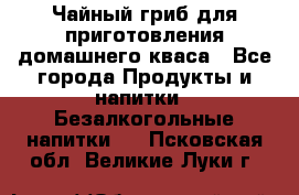 Чайный гриб для приготовления домашнего кваса - Все города Продукты и напитки » Безалкогольные напитки   . Псковская обл.,Великие Луки г.